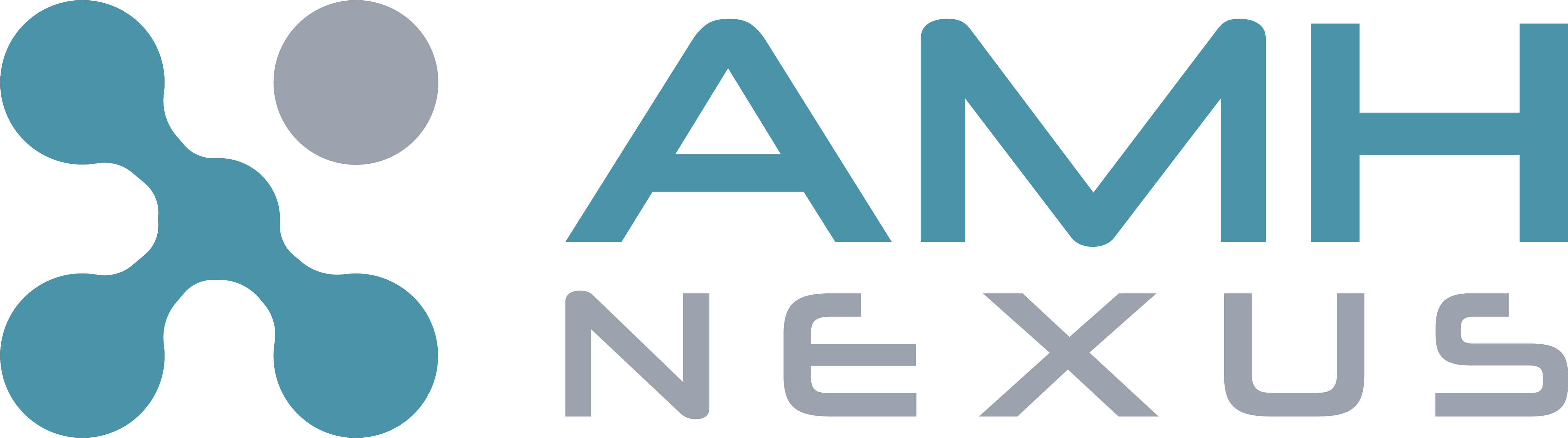 AMH Nexus